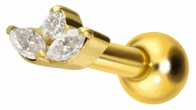 Produktbild von Ohrpiercing Titan Ohrpiercing mit Innengewinde LOTUSBLÜTE Gold Stablänge: 6mm