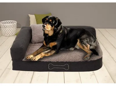 Image de Sun Garden Pallina Orthopedisch Hondenkussen 80x60x25cm Antraciet/Grijs