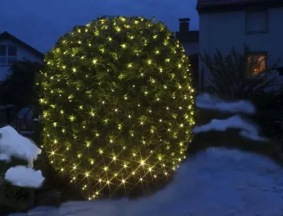 A bush decorated with LED lights in a garden at dusk.