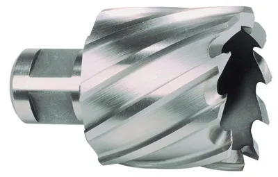 Kernbohrer HSS 15 mm, Weldon-Schaft, 1 Stück, für Metall