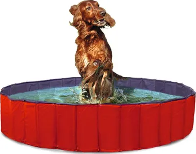 Produktbild von Karlie Doggy Pool - Hundespielzeug - PVC - Rot - 160x160x30 cm