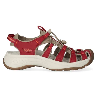 Image de taille de la chaussure : US 6.5