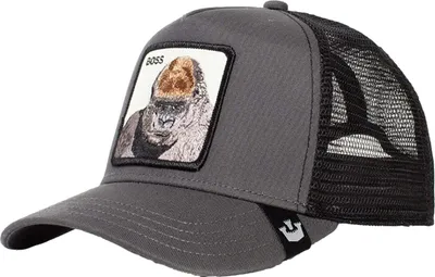 Image de Casquette Goorin Bros 101-0202-GRY pour Uni