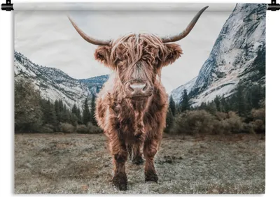 Produktbild von MuchoWow® Wandteppich Wandbehang Schottischer Highlander - Berg - Tiere 90x67.5 cm Tapisserie Dekoration Wandtuch - Fototeppich - Wand-Skulpturen
