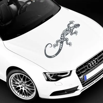 Produktbild von Aufkleber - Autoaufkleber "Abstrakt Gekko" 60cm x 25cm anthrazit - Tuning Carystyling Heckscheibe Auto