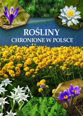 Produktbild von Rośliny. Chronione rośliny w Polsce