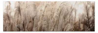Immagine prodotto di LUMASOUL Quadri su tela con motivi naturali, Quadri da Parete per Soggiorno e Camera da Letto, Quadri 90x60 cm Boho
