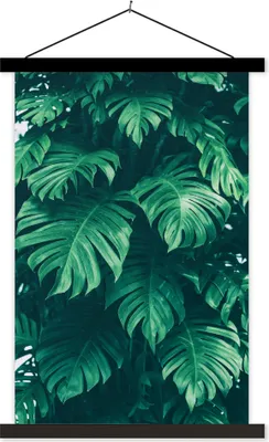 Produktbild von MuchoWow® Textilposter Monstera - Blätter - Pflanzen - Dschungel - Natur 60x90 cm mit schwarzem Rahmen - Poster Wohnzimmer