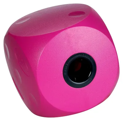 Produktbild von Buster Futterwürfel (Groß) (Pink)