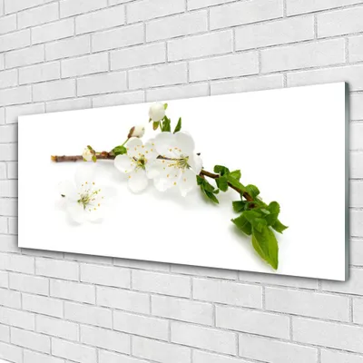 Produktbild von Acrylglasbilder 125x50 Wandbild Druck Blumen Zweig Natur