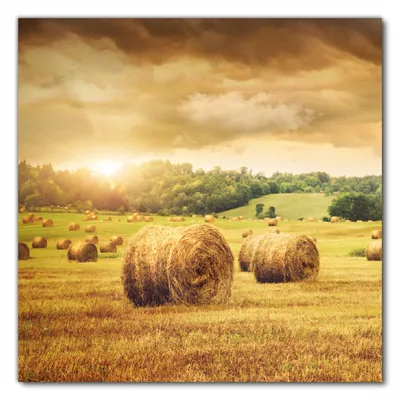 Produktbild von Wallario selbstklebende Möbelfolie/ Tischdecke für Innen und Außen, Größe: 60 x 60 cm - Strohballen auf dem Feld bei Sonnenuntergang