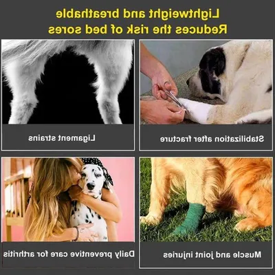Hund Kniebandagen für das Hinterbein, Hauptbild