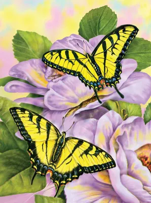 Produktbild von Malen nach Zahlen Schwalbenschwanz-Schmetterling