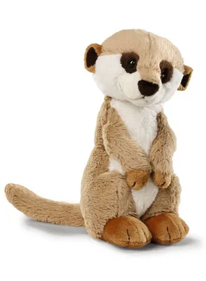 Produktbild von Nici Kuscheltier Erdmännchen 15cm, sitzend 35689