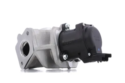 Immagine prodotto di DELPHI EG10401-12B1 Valvola EGR
