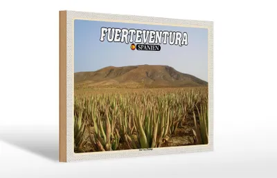 Produktbild von Holzschild Reise 30x20cm Fuerteventura Spanien Aloe Vera Plantage