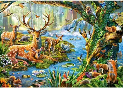 Obrázok produktu pre Castorland Forest Life, 500 kusov, Flóra a fauna, 9 rok / roky