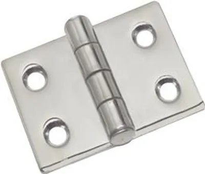 Immagine prodotto di Cerniera sporgente in acciaio inox AISI 316, 50x50 mm, lucidata - Osculati 38.284.00