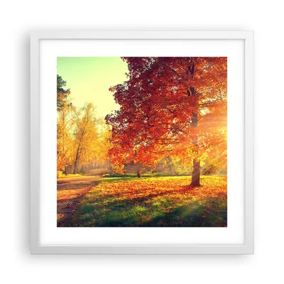 Produktbild von Gerahmtes Poster - Weißer Rahmen - Park Herbst Baum - 40x40 cm - Wand Bild - Wanddeko - Wandbilder - Kunstposter - Wandposter - Bilderrahmen - Bilder - Kunstdruck - Wandbild - P2WAC40x40-3654