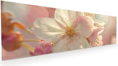 Produktbild von Glasbild 120x40cm in XXL für Wohnzimmer, Schlafzimmer Motiv Blühende Blüten
