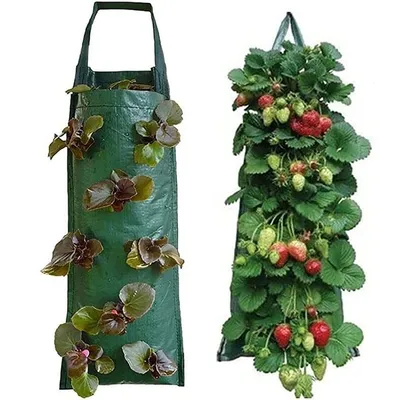 Produktbild von Hang Grow Bag 8 Hängepflanzgefäße, 1 Stück pro Packung.