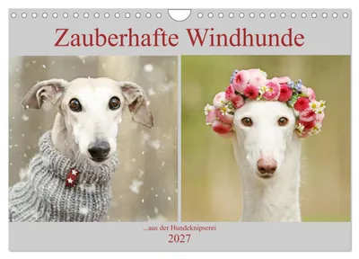 Produktbild von Zauberhafte Windhunde (Wandkalender 2027 DIN A4 quer), CALVENDO Monatskalender