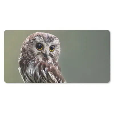 Produktbild von MuchoWow® Mauspad Mousepad Nahaufnahme einer kleinen Eule 60x30 cm - Mousepads - Maus Mat - Pad - Mausunterlage - Nachhaltig