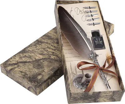 Image de Plume anglaise Dip Quill Stylo Écriture Set d'encre Papeterie Boîte cadeau avec 5 grignons