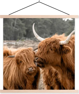 Produktbild von MuchoWow® Textilposter Schottisches Hochlandrind - Kuh - Tiere 60x60 cm mit holzfarbenen Rahmen - Wanddekoration