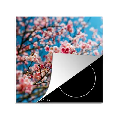 Produktbild von KitchenYeah© Herdabdeckplatte Frühling - Sakura - Rosa , 78x78cm, Küche Deko, Glaskeramikkochfeld Herdabdeckung, Abdeckplatte fùr Kochfeld