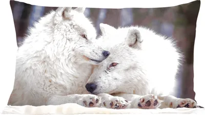 Produktbild von MuchoWow® Zierkissen Sofakissen Wohnzimmer Dekokissen 50x30 cm Wölfe - Schnee - Familie - Wohnzimmerdekoration - Polster mit Photo