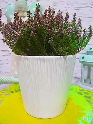 Produktbild von Polnix Keramik Blumentopf rund matt weiß 13cm