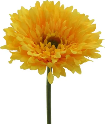 Produktbild von künstliche Gerbera gelb H. 60cm mit fülliger Blüte D. 10cm GASPER Kunstblume