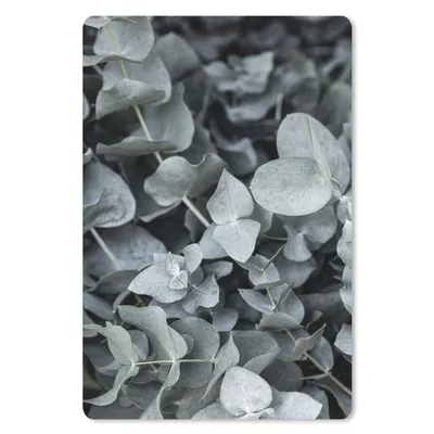 Obrázok produktu pre Podložka pod myš - Príroda - Rastliny - Eukalyptus - Listy - 18x27cm - Rohožka pod myš