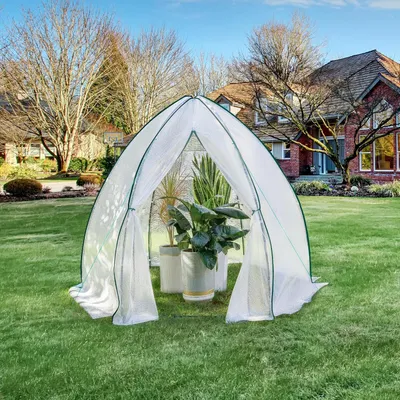 A white, arched greenhouse with green trim is set up on a green lawn in front of a large brick house. Several potted plants are visible inside the greenhouse.