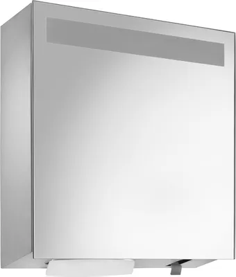 Wagner-EWAR Spiegelschrank mit Seifen- & Handtuchspender WP650  Edelstahl matt