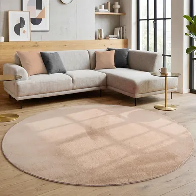 Image de Homebyhome Tapis Lavable à Poils Courts Antidérapant et Doux Design Uni Moderne pour Salon et Chambre à Coucher, Taille: 120 cm rond