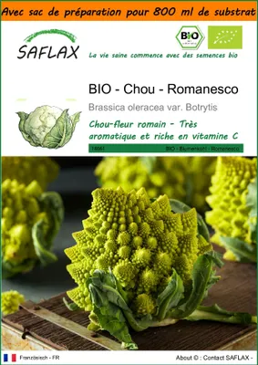 Image de SAFLAX Garden in the bag -- Chou - Romanesco - 50 graines - Brassica