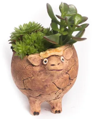 Produktbild von Pflanzfigur "Schaf" (10,00 cm)
