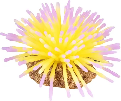 Immagine prodotto di Aqua Della Pianta artificiale Anemone gialla