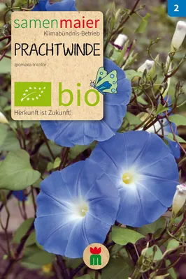 Artikelbild 1 von 'BIO Prachtwinde blau' aus der Kategorie Windensamen