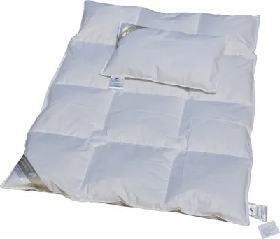 Produktbild von Hofmann Set Sibiria exclusiv Kinder Daunendecke Daunenbett 2tlg sibirische Wildgans 100x135 + 40x60