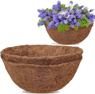 Image de Disques en fibre de coco de 35 cm pour pots et jardin