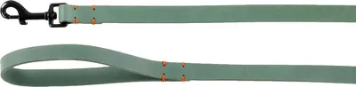 Zdjęcie produktu dla Smycz Flamingo Leano, kolor zielony, wymiary: 130 cm / 20 mm