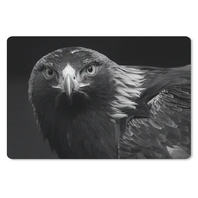 Produktbild von MuchoWow® Schreibtischunterlage Bussard - Vogel - Tiere - Schwarz - Weiß 60x40 cm - XXL Mauspad - Großes Mauspad