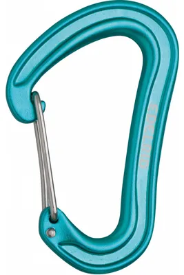 Produktbild von Edelrid Nineteen G - Ultraleichter Drahtschnapper-Karabiner, Farbe:icemint
