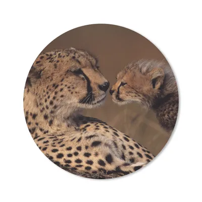 Produktbild von MuchoWow® Mauspad Mousepad Gepardenmutter und Jungtier 50x50 cm - Mousepads - Maus Mat - Pad - Mausunterlage - Vinyl