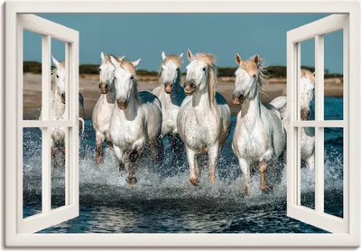 Produktbild von ARTland Leinwandbild Fensterblick Pferde am Strand Größe: 100x70 cm