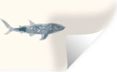 Produktbild von MuchoWow® - Aufkleber