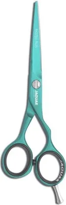 Produktbild von Jaguar HS 5,5 4752-4 Pastell Plus OffSet mint Haarschneide, mint, offs